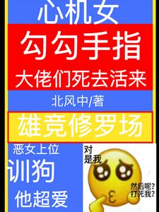 我整容女在上流社会发疯小说